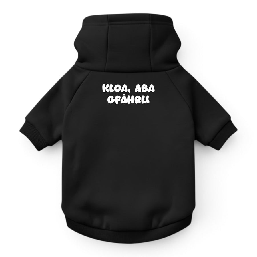 Hunde-Hoodie "Kloa, aba gfährli" schwarz