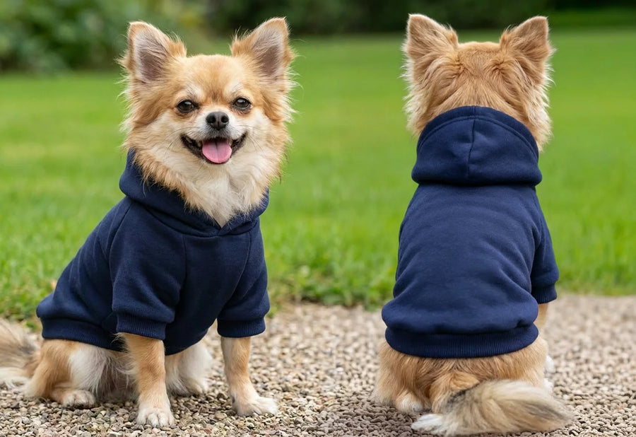 Hunde-Hoodie "Oida!"