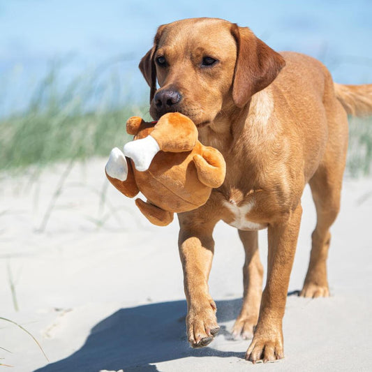 Hundespielzeug "Giggerl" - meinherzschlag.de