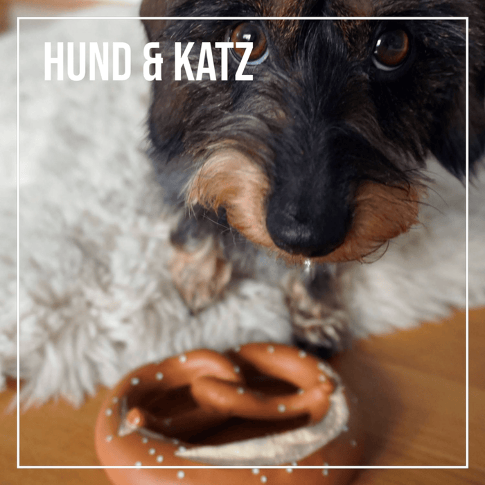 Hund & Katz - meinherzschlag.de