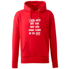 Hoodie "I hob heid nix vor"