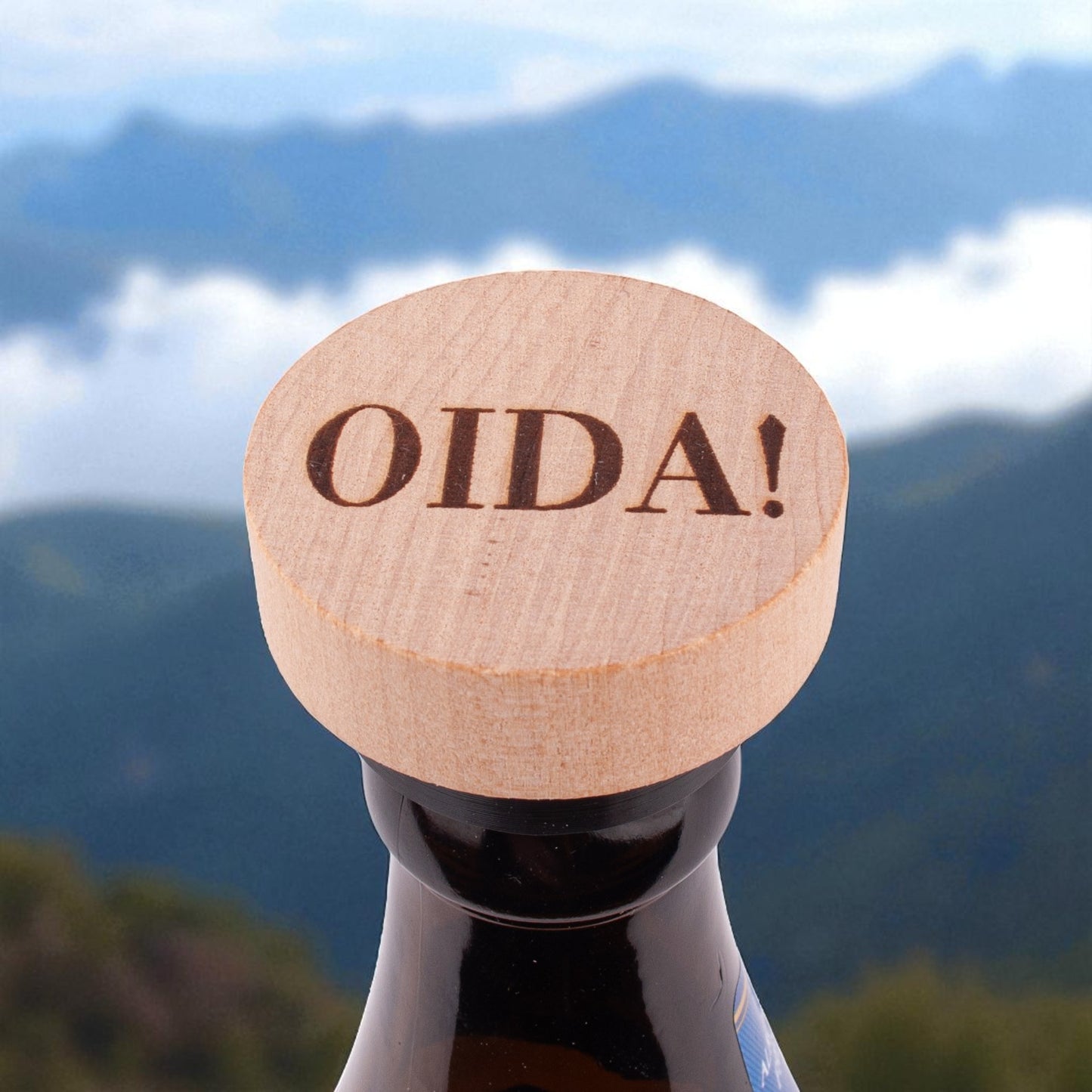 Stopsl "OIDA!" - meinherzschlag.de
